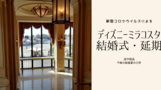 東京ディズニーランド 結婚式 新型コロナウイルス ニンニの気まま日記 ディズニー スウェーデンハウス