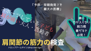 ディズニー料理を再現 ディズニーポップコーン ブラックペッパー カレー味 レシピ