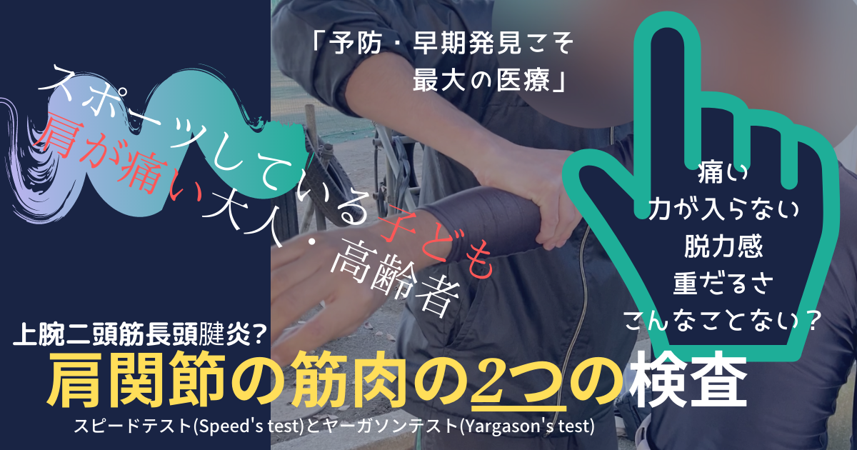 その肩の痛み 上腕二頭筋長頭腱炎かも テスト方法をブログで紹介 ニンニの気まま日記 ディズニー スウェーデンハウス